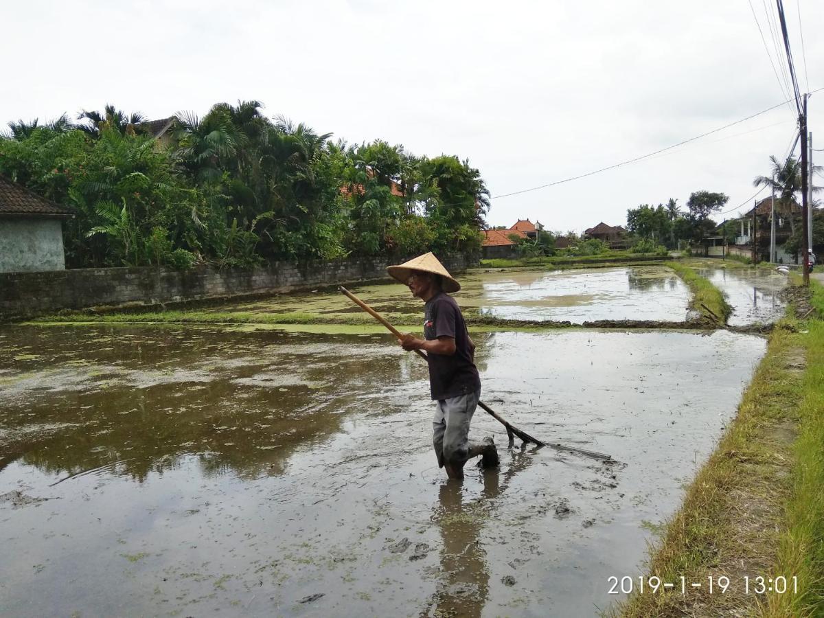 Bhuana Alit 2 Ubud 外观 照片