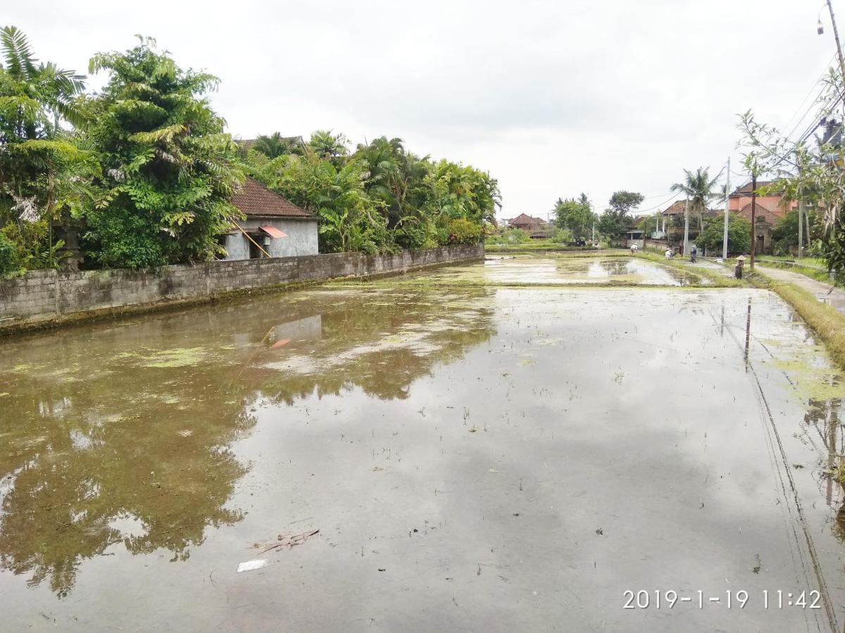 Bhuana Alit 2 Ubud 外观 照片