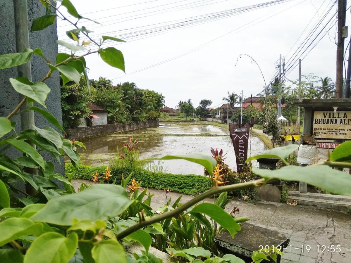 Bhuana Alit 2 Ubud 外观 照片