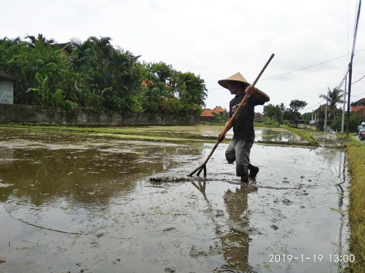 Bhuana Alit 2 Ubud 外观 照片