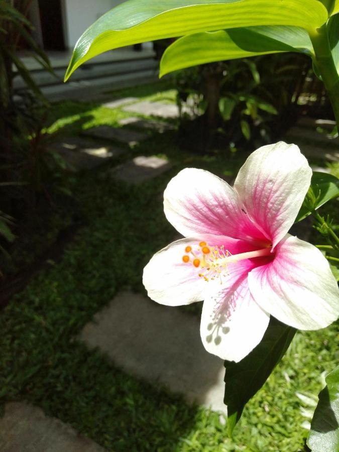Bhuana Alit 2 Ubud 外观 照片